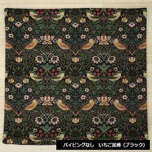 X NbVJo[ I[_[ TCYw k   Mtg 蕨 t@ubN 100×c55cmȓŃTCYI[_[ (Y) { ` ` lpX Morris morisu Fabric by 