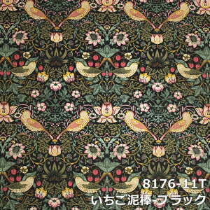 e[ui[ TCYI[_[ ł XfUC e[uEFA H _CjO G { X e[uz NX Jo[ v[g Mtg  IbNXtH[h 