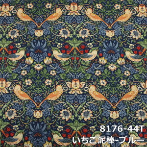 xbhX[  TCYI[_[ xbhCi[ xbhJo[ XfUC xbh z  tbgX[ Q { v[g Mtg  IbNXtH[h D_ 300cm