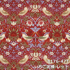 e[ui[ TCYI[_[ ł XfUC e[uEFA H _CjO G { X e[uz NX Jo[ v[g Mtg  IbNXtH[h 