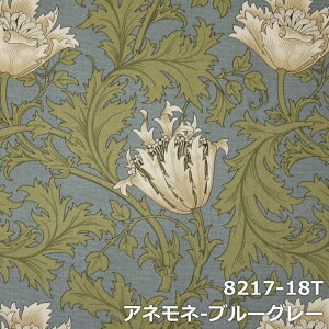 xbhX[  TCYI[_[ xbhCi[ xbhJo[ XfUC xbh z  tbgX[ Q { v[g Mtg  IbNXtH[h D_ 300cm