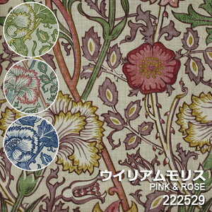 EBAX n z fUCn zn̔  fUCt@ubN ObY p A 10Z`P ؂蔄 COi 137cm (10cm) Archive Prints2 s