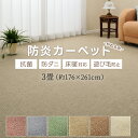 カーペット 3畳 じゅうたん ラグ おしゃれ 床暖対応 防炎 江戸間 三畳 3帖 絨毯 3畳 ジュータン 約176×261cm ホットカーペット対応 マット 日本製 国産 お値打ち 防ダニ 抗菌 シンプル 無地 遊び毛が出にくい 絨毯 カラフルループ (Y) 半額以下 引っ越し 新生活