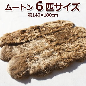 [g r g [gt[XO 140×180cm uE ŋzΉ у[gt[XO6CTCY (Y) z V }\