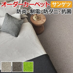 I[_[J[ybg t[Jbg TQc J[ybg O~ イ O }bg t[Jbg TVIII(R) 250×300cm JbgpC |vs n i` z V