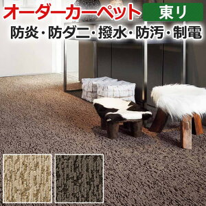 オーダーカーペット フリーカット 東リ カーペット 絨毯 じゅうたん ラグ マット フリーカット アースブレス 約300×450cm 抗菌 防汚 防炎 耐久性 ナイロン モダン デザイン 業務用 引っ越し 新