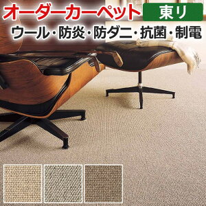 �I�[�_�[�J�[�y�b�g �t���[�J�b�g ���� �h�� �h�_�j ���d �E�[�� �I�[���V�[�Y�� �R�� �h�� �h�_�j �p���r�� �t�����h�G�[�W ��250×300cm �ȉ��� �T�C�Y�I�[�_�[ �t���[�J�b�g �����z�� �V����