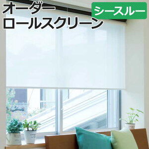 オーダーロールスクリーン ヒラリエ(R) シースルー プルコード式 幅135×高さ200cm以内でサイズオーダー 日本製 目隠し 仕切り シンプル ベーシック レース 模様替え サイズ指定 色 カラー 選べ