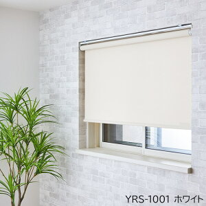 [XN[ I[_[ vR[h 160cm×200cmȓŃTCYI[_[ YUROS [X (SR) 1cmPʂŃI[_[ h EHbVu @Ő􂦂 { Vv n  