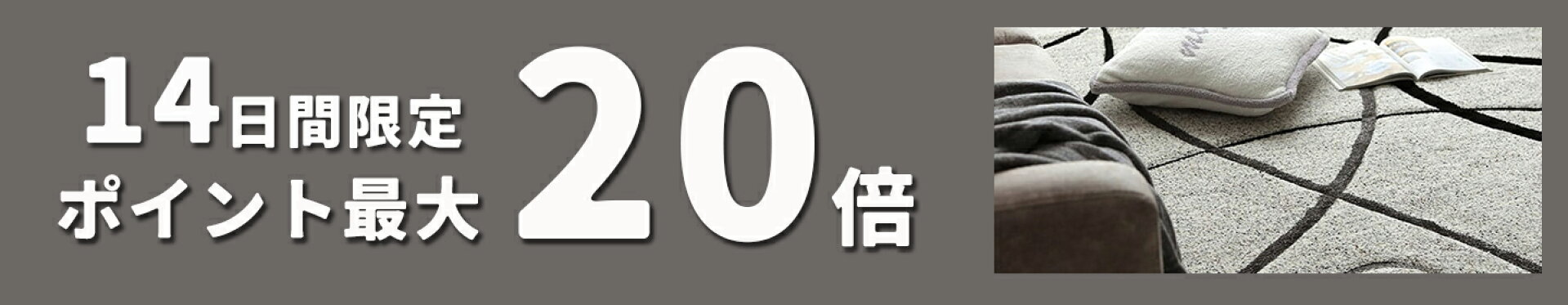 ポイント最大20倍！11/20まで