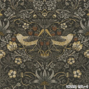 ^CJ[ybg 50×50 h 50×50cm h d h_j Չ { ~ߕt 􂦂 u~ ȒP{H jbgO D_ (KS) EBAEX fUCO ŃJbg