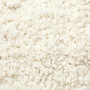  O fUCO }bg J[ybg }CNt@Co[O h_j zbgJ[ybgΉ Vіі ӂӂ n Vv _  200×200cm (-Q) TOR4601`TOR4607 z 