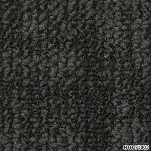 �^�C���J�[�y�b�g ���{�� �h�� �h�� ���d �p�l���J�[�y�b�g ��50×50cm 20������ �E�[�u���_�E�j�[ NTH-7180 (R) WOVEN DOWNY ���K�i �h�� ���� DIY �͗l�ւ� �����z�� �V����