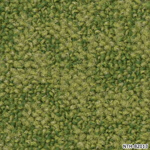 �^�C���J�[�y�b�g ���{�� �h�� �h�� ���d �p�l���J�[�y�b�g �t�@�C�o�[�G�R ��50×50cm 20������ �O���[���X F/�O���[���X�O���X F/�O���[���X�o�[�~�[ F NTH-820 F-eco (R) GRORASS GRASS ���T�C�N������