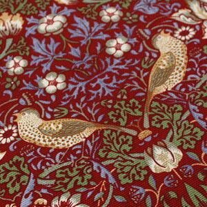 X | n IbNXtH[hn n 1mȏ 10cmP ؔ ̔ (10cm̉i) Morris D_ 8176-44T / 8176-11T / 8176-47T (Y)  110cm u[ bh ubN 䕓D_ { 