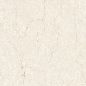 rj^C ~ߕt tA^C ڒޕsv R t[O yOK RۃNectA (R) }[u 50×50cm 8 z V