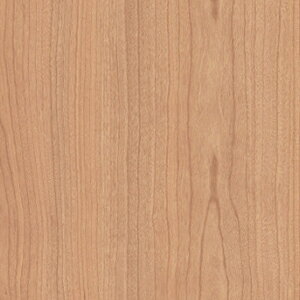 rj^C ~ߕt tA^C ڒޕsv R t[O yOK RۃNectA (R) Ebh 25×105cm 8 z V ubNtCf[