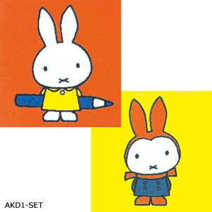 􂦂  ^CJ[ybg (R) 40×40cm LN^[V[Y { ʋz fBbNEu[i plJ[ybg 2Zbg AKD z V