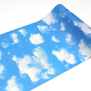 ǎV[g \Ă͂ }XLOe[v t[X CNV[g e[v ǎ V[  IV CeAp e[v k L DIY tH[ J  FLEECE 230mm