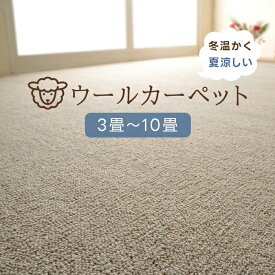 カーペット 防炎 江戸間 3畳 約176×261cm / 4.5畳 約261×261cm / 6畳 約261×352cm / 8畳 約352×352cm / 10畳 約352×440cm ウールカーペット 床暖対応 天然素材 ウール100% 折り畳み 防ダニ 抗菌 エコカーペット ホットカーペット対応 日本製 防ダニ 抗菌加工 オペラ (H)