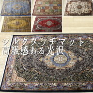 【最強配送】 玄関マット 室内 マット 高級 輸入 カーペット ラグ シルクタッチ 光沢感 トルコ製 おしゃ…