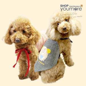 y݌Ɍzewc qcW by Gv L~V[ N[N`[ {hbOEFA ^pyKSz  킢 ybg H~