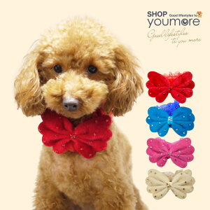 �y�����z�L���L�� �o�^�t���C ���{�� �`���[�J�[ �� �L �h�b�O�E�F�A �A�N�Z�T���[�@����