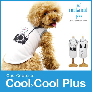 y݌Ɍzyz N[×N[vX@OtBbN^Ngbv cool×coolN[N`[ 12051