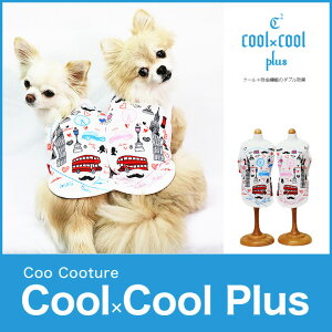 y݌ɌzyzN[×N[vX@n[gyA^Ngbv N[N`[ 12038