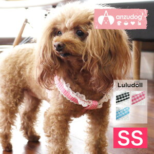 yEJ[Eցz AX`n[lX SS  Luludollih[j DH306 y{z hbOEFA LbgEFA ^