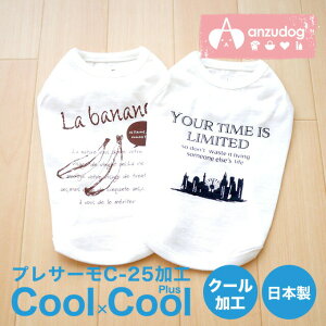 y݌Ɉ|z N[×N[vX Rbgvg^Ngbv N[N`[ CooCouture 12125  킢 ybg t