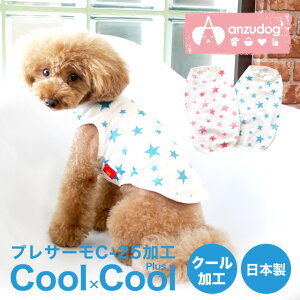 yzN[×N[vX Ci[X^[^Ngbv N[N`[ CooCouture 0028