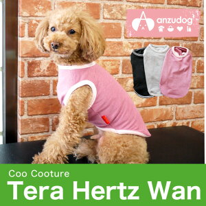 N[N`[ er[eB[ p ^Ngbv50044 N[N`[ CooCouture