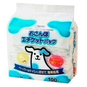 yLEPApizN[ ۃG`PbgpbN 100(܃^Cv)y0z