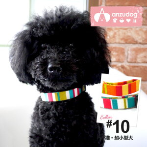 【ゆうパケット対応商品】 レインボーカラー(首輪) #10 猫超小型犬用 犬用 ペット用品 お散歩
