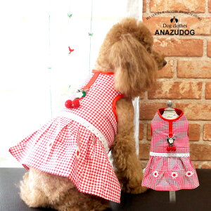 s[X^ڃ`FbNn[lX hbOEGA  ^ p ybgpi