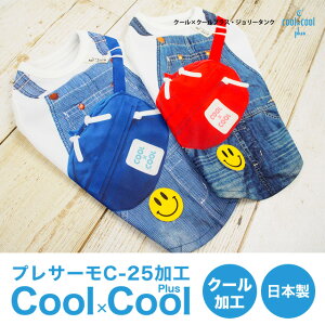 y݌Ɍz2019V N[×N[vX W[^Ni2Fj12240hbOEFA ybgpi  킢 ybg t