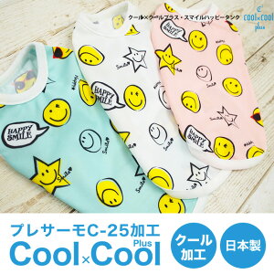 y݌Ɉ|zN[×N[vX X}Cnbs[^Ni3Fj12244hbOEFA ybgpi  킢 ybg t