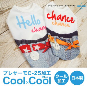 y݌Ɍz2019V N[×N[vX ^N}^i2Fj12246hbOEFA ybgpi  킢 ybg t