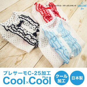 y݌Ɍz2019ĕV N[×N[vX veB{k^Ni2Fj12259hbOEFA  ybgpi