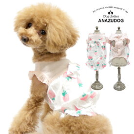 楽天市場 いちご ドッグウェア 犬用品 ペット ペットグッズの通販
