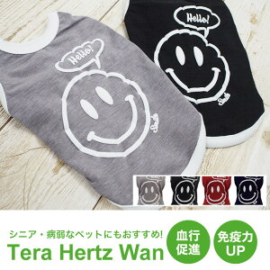 N[N`[V ewc jR^Ni2Fj 12230 hbOEFA ybgpi  킢 ybg t