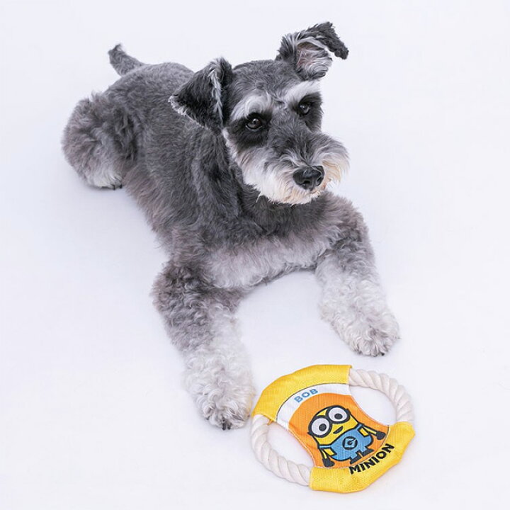 楽天市場 ミニオン リングドッグロープ ボブ 犬猫 おもちゃ ペットトーイ Anzudog あんずドッグ