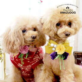 楽天市場 チョーカー リボン 犬用品 ペット ペットグッズ の通販