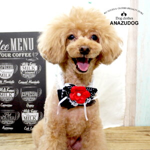 犬 チョーカー リボンの通販 価格比較 価格 Com