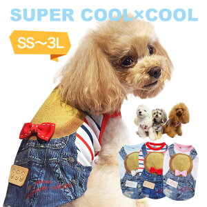 y݌Ɍz2020ĕVX[p[N[×N[ pfB^Ni2j12285 hbOEGA  ybgpi