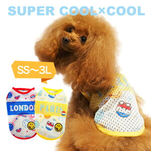 y݌ɌzĕVX[p[N[×N[ JOY^Ni2Fj12294 hbOEGA  ybgpi