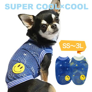 X[p[N[×N[ fjjR^Ni2Fj12287 hbOEGA  ybgpi