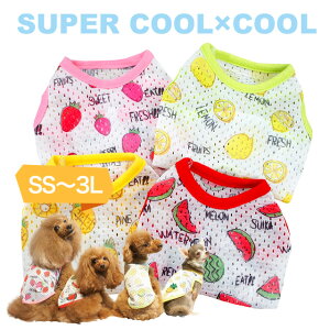 y݌Ɍz2020ĕVX[p[N[×N[ gsJ^Ni4j12288 hbOEGA  ybgpi