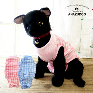 Lp MK`FbN앞}i[K[h LbgEGA L